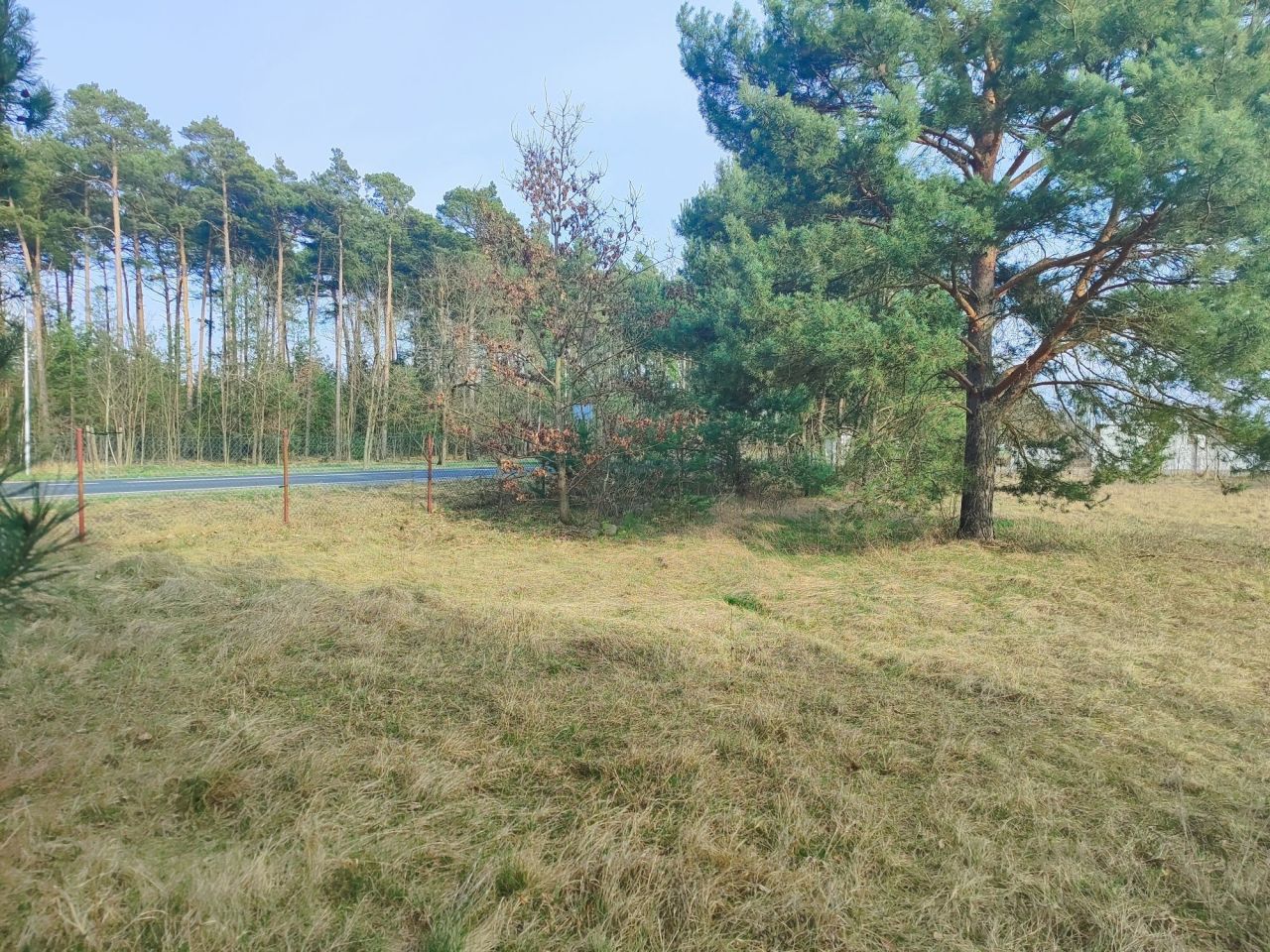 Działka rod Zielona Góra Ochla. Zdjęcie 5