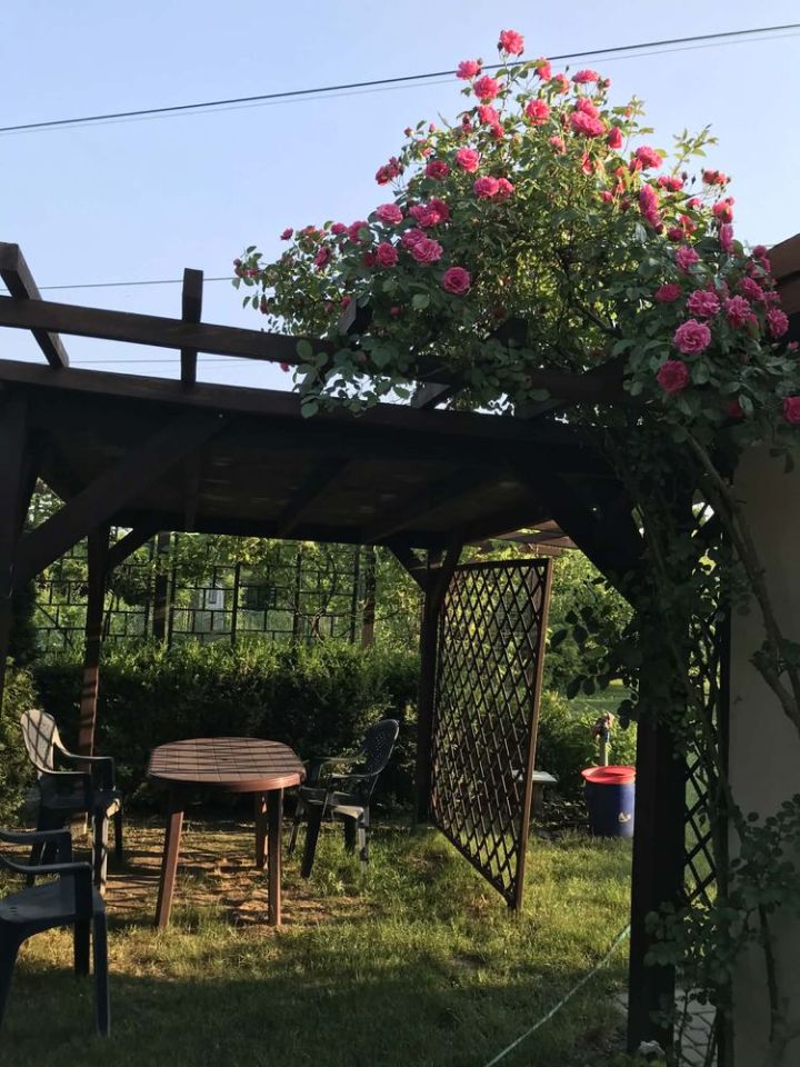 Działka rod Gorzów Wielkopolski, ul. Szarych Szeregów. Zdjęcie 8