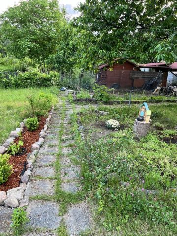 Działka rod Wilkanowo, ul. Szkolna. Zdjęcie 1