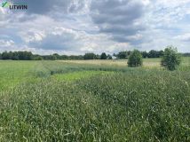 Działka rolna Machowa. Zdjęcie 4