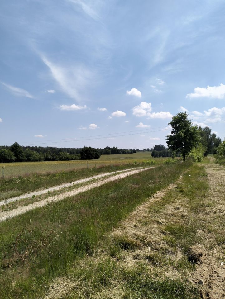 Działka budowlana Józefów, Józefów. Zdjęcie 7