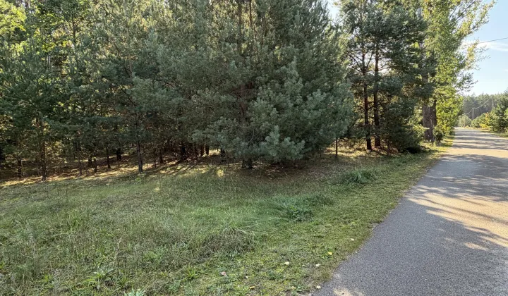 Działka budowlana Chrzczanka-Folwark, brak