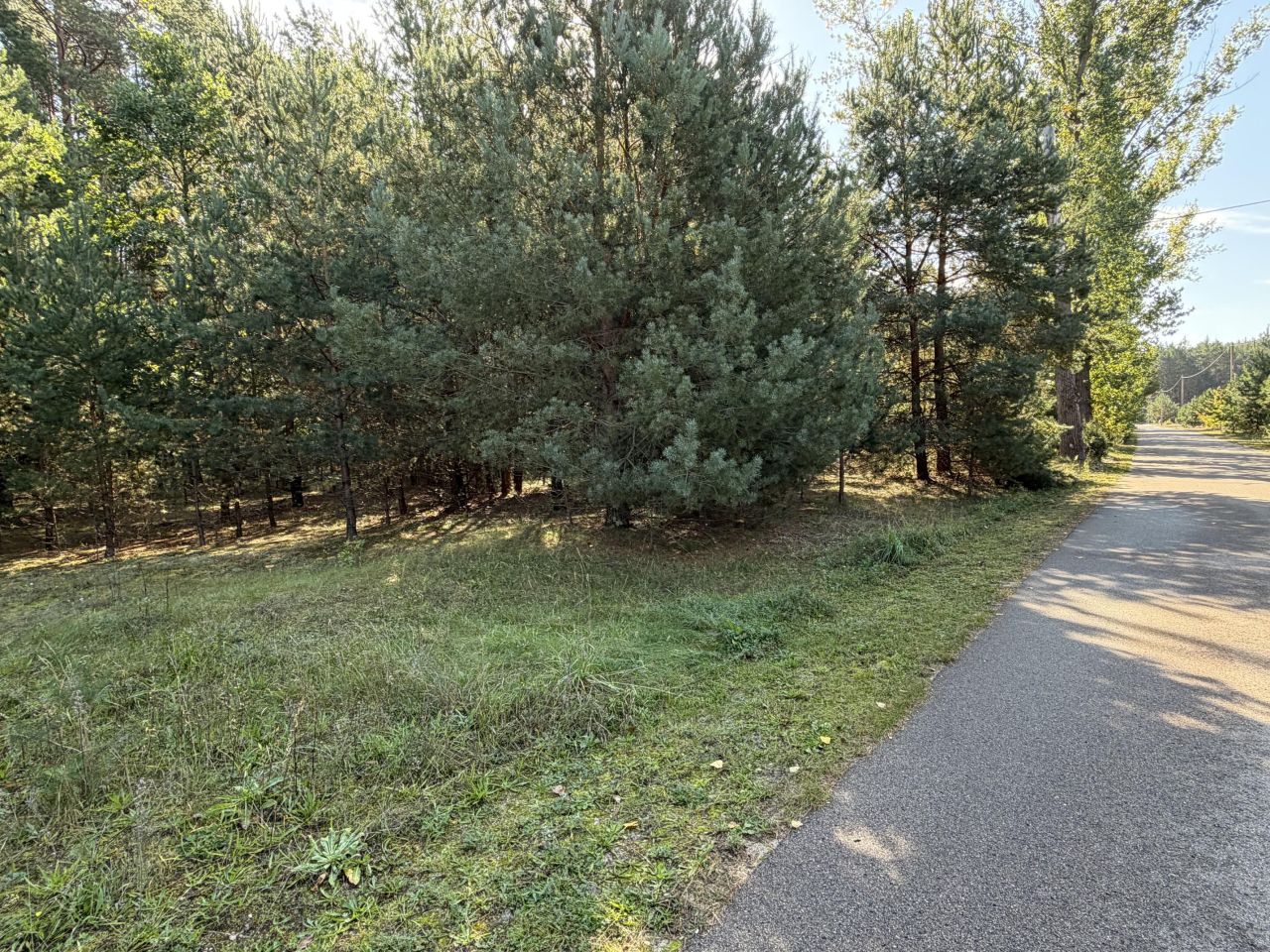 Działka budowlana Chrzczanka-Folwark, brak. Zdjęcie 1
