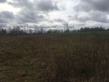 Działka rolna Sulechówko. Zdjęcie 3