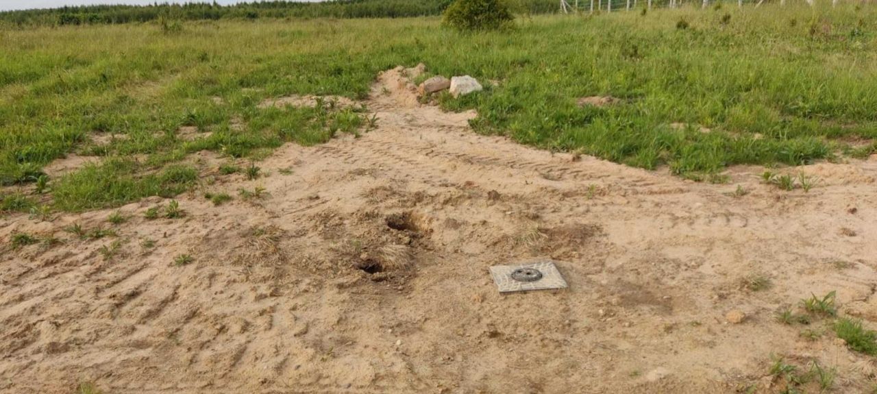 Działka rolno-budowlana Ostrowite. Zdjęcie 7