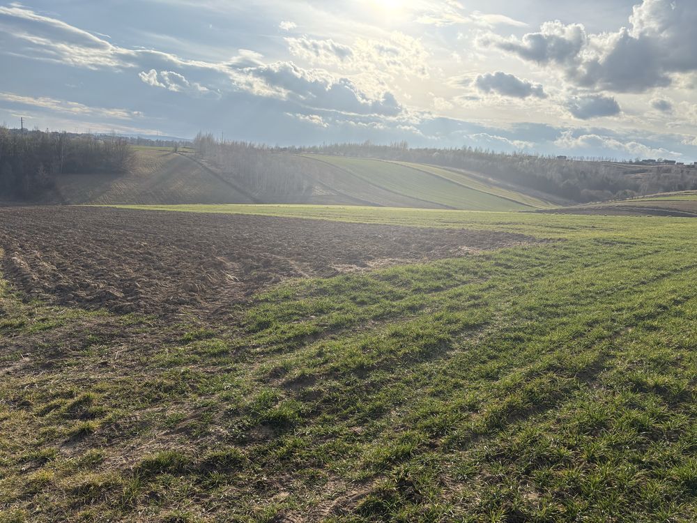 Działka rolno-budowlana Zbrza. Zdjęcie 4