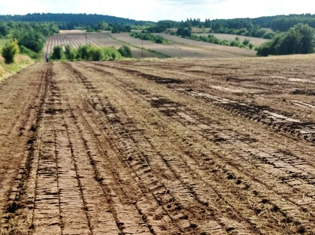 Działka rolno-budowlana Radlin. Zdjęcie 1