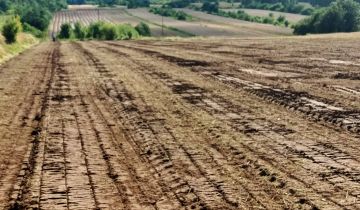 Działka rolno-budowlana Radlin