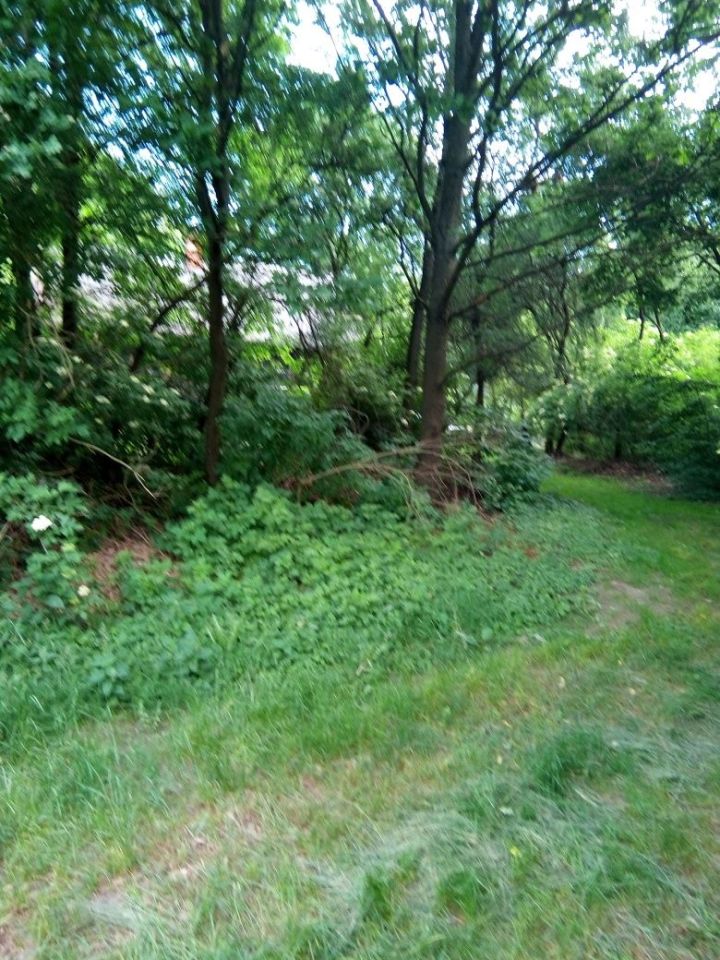 Działka siedliskowa Kajetanów. Zdjęcie 5