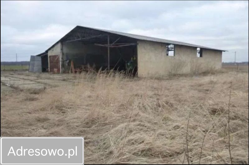 Działka budowlana Łąka Prudnicka. Zdjęcie 2