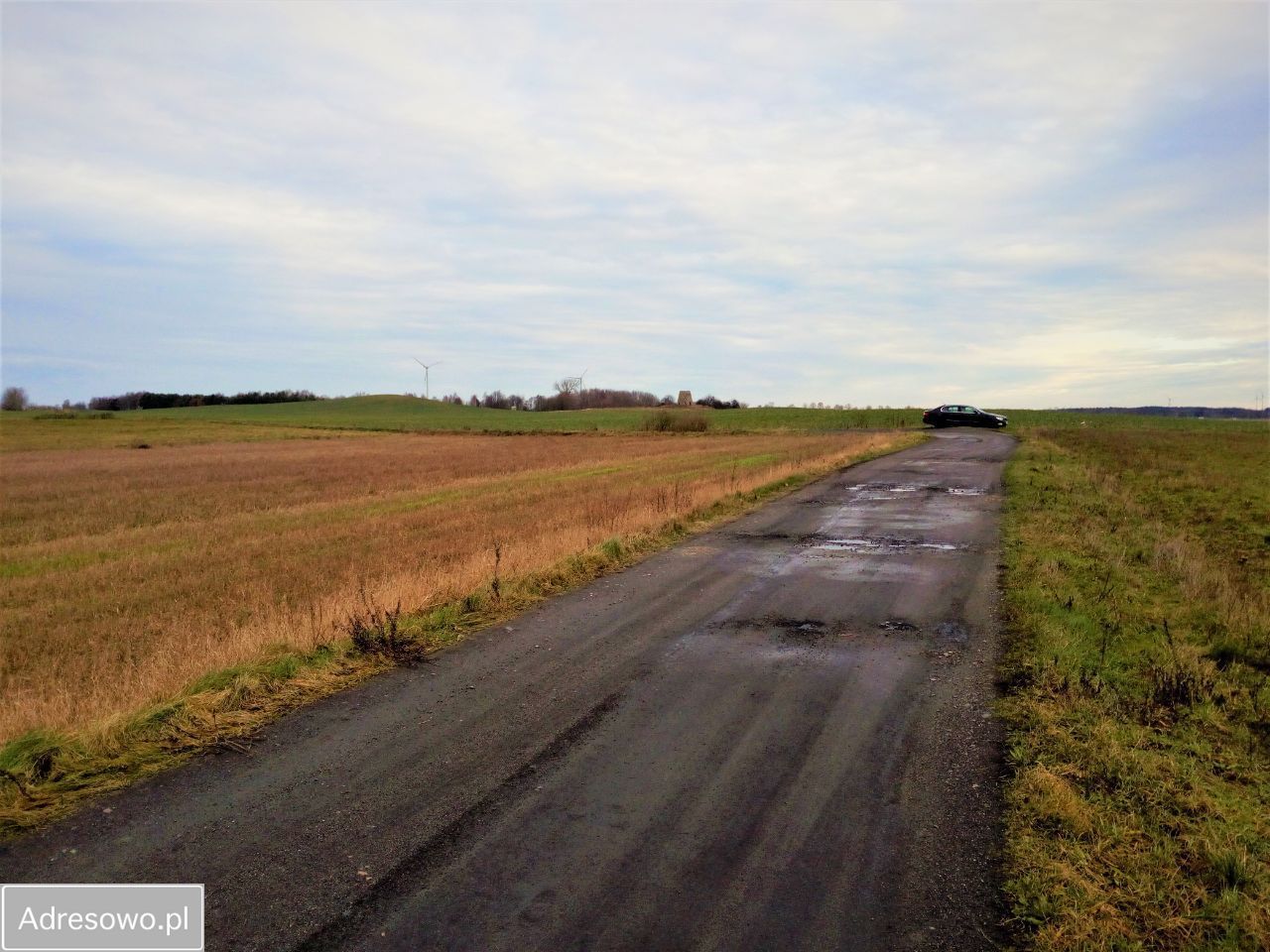 Działka siedliskowa Czernin. Zdjęcie 14