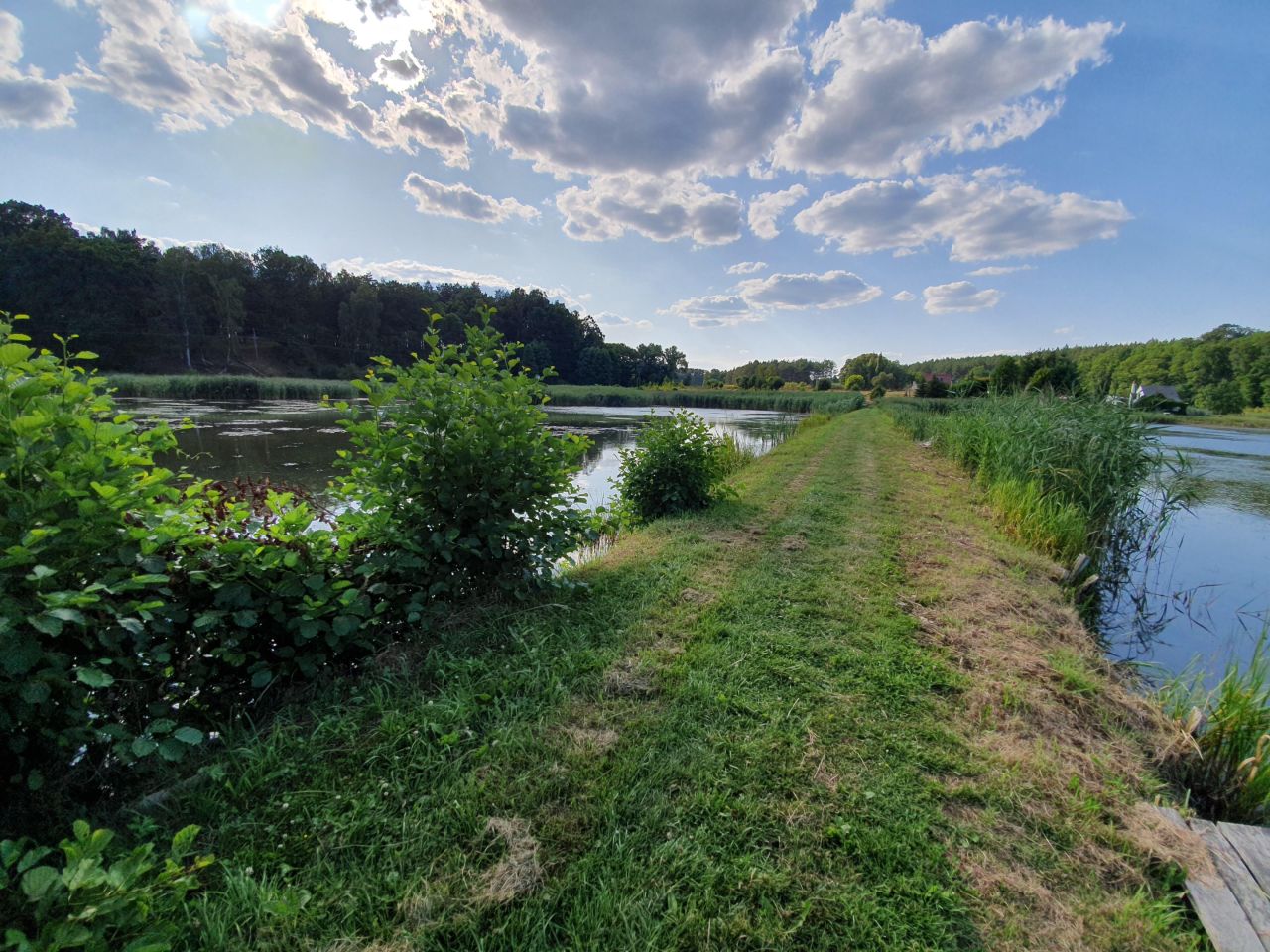 Działka rolna Bledzew Tymiana, ul. Tymiany. Zdjęcie 37