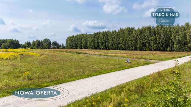 Działka budowlana Rojków. Zdjęcie 8