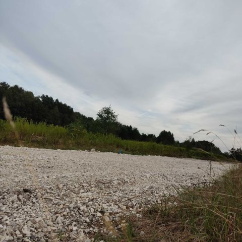 Działka rolna Zwierzyniec. Zdjęcie 1