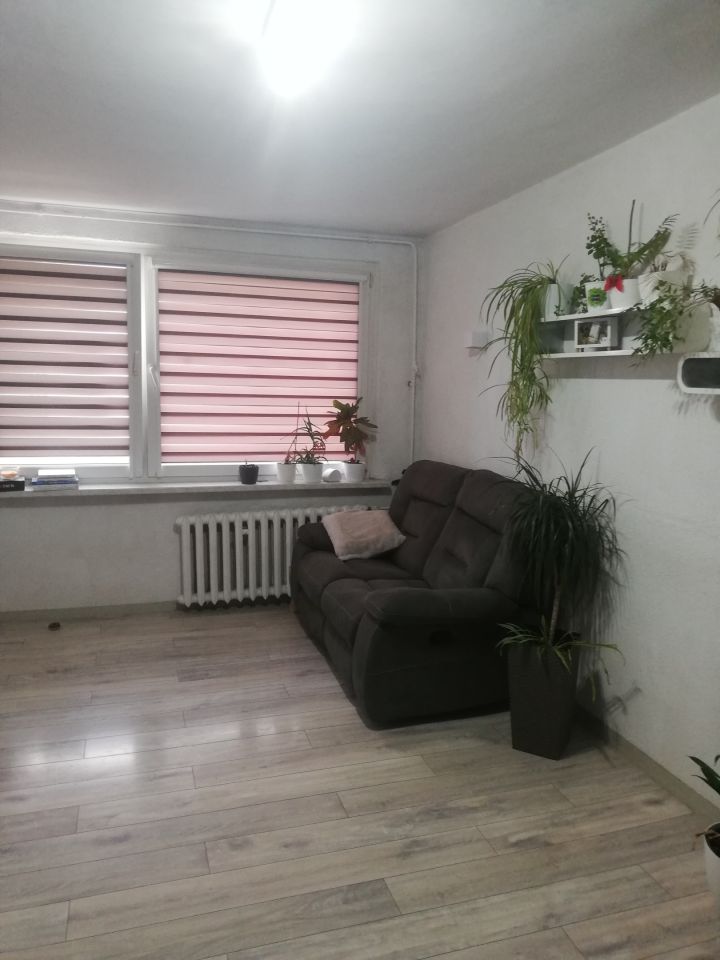 Mieszkanie 2-pokojowe Oława Centrum, ul. 3 Maja. Zdjęcie 2