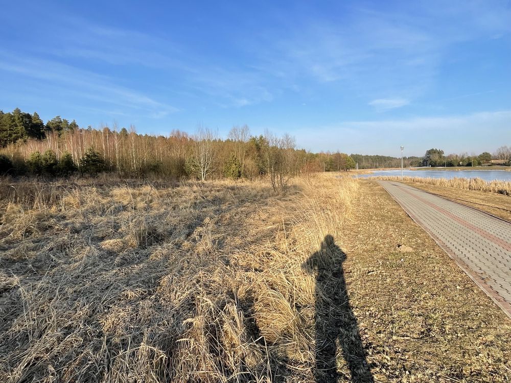 Działka rolna Wilków