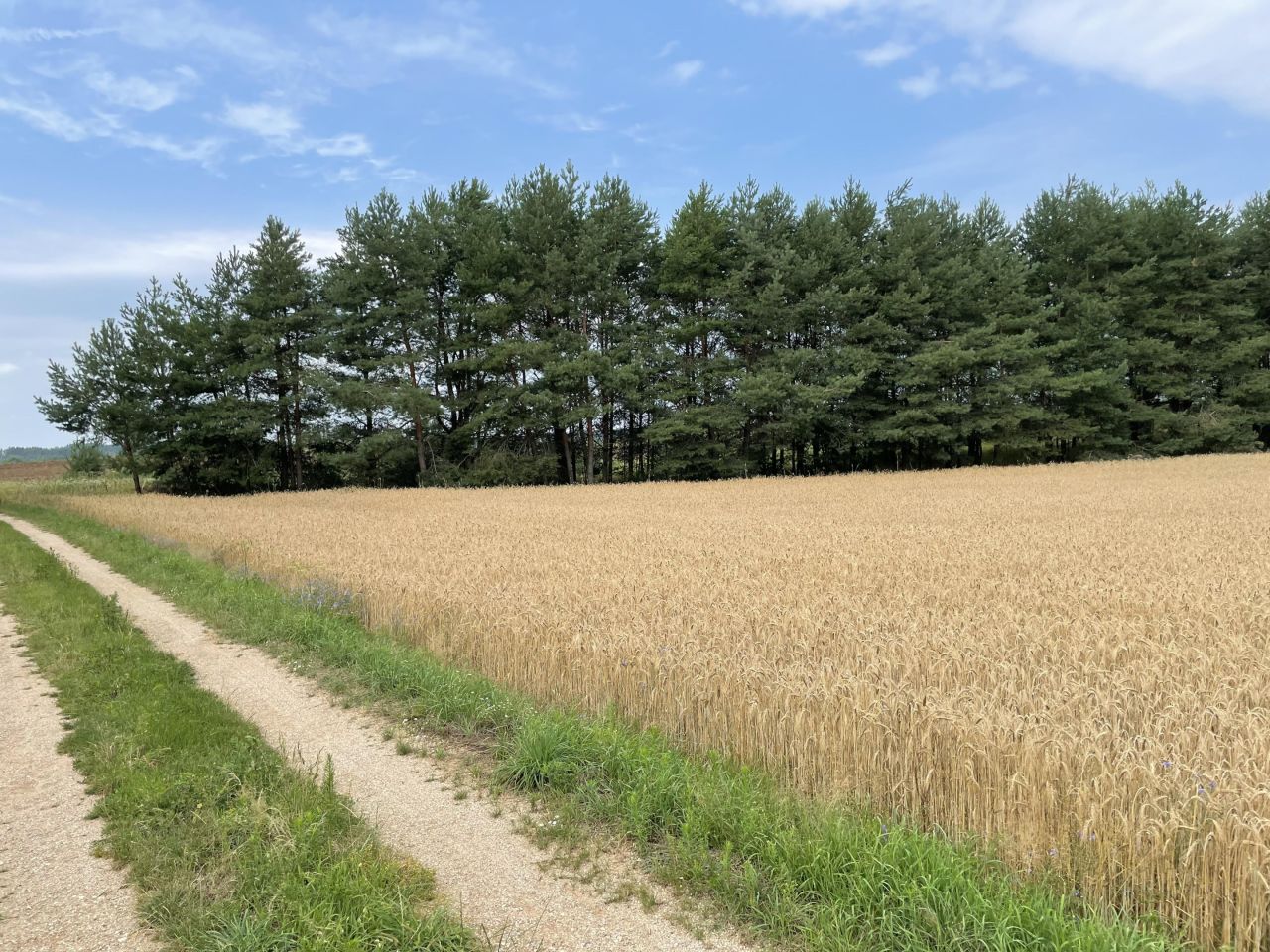 Działka rolno-budowlana Kopczany. Zdjęcie 14