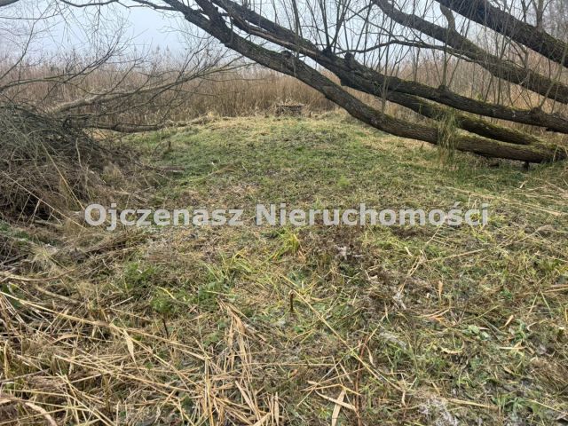 Działka budowlana Jeleń. Zdjęcie 5