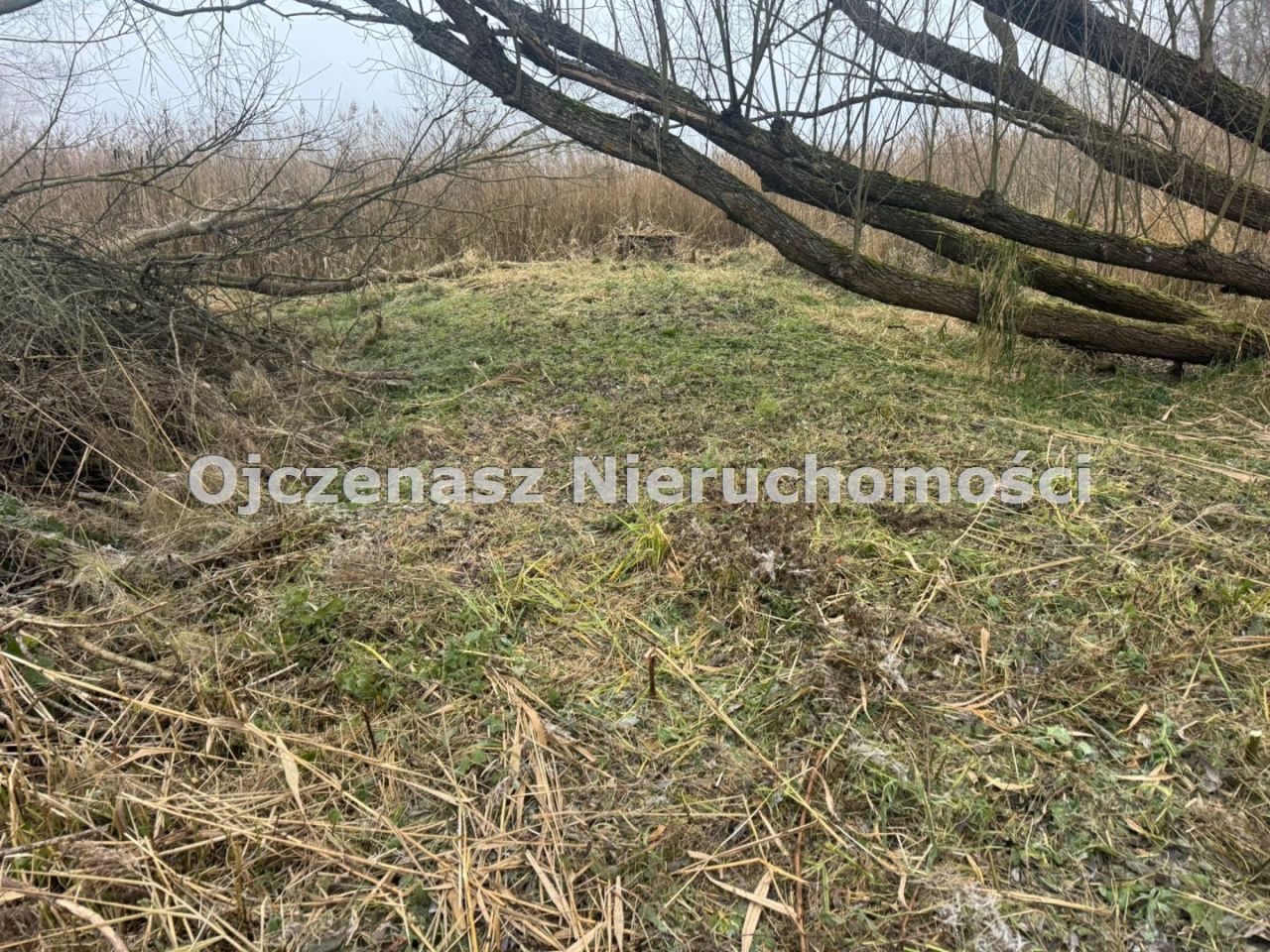 Działka budowlana Jeleń. Zdjęcie 5