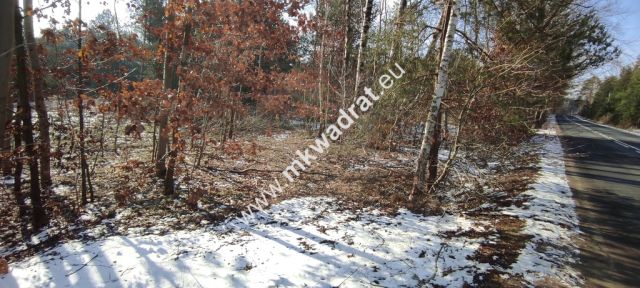 Działka budowlana Ojrzanów. Zdjęcie 4