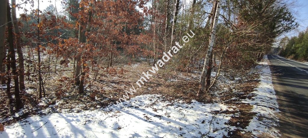 Działka budowlana Ojrzanów. Zdjęcie 4