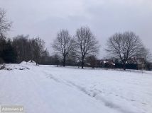 Działka inwestycyjna Wołowice. Zdjęcie 3