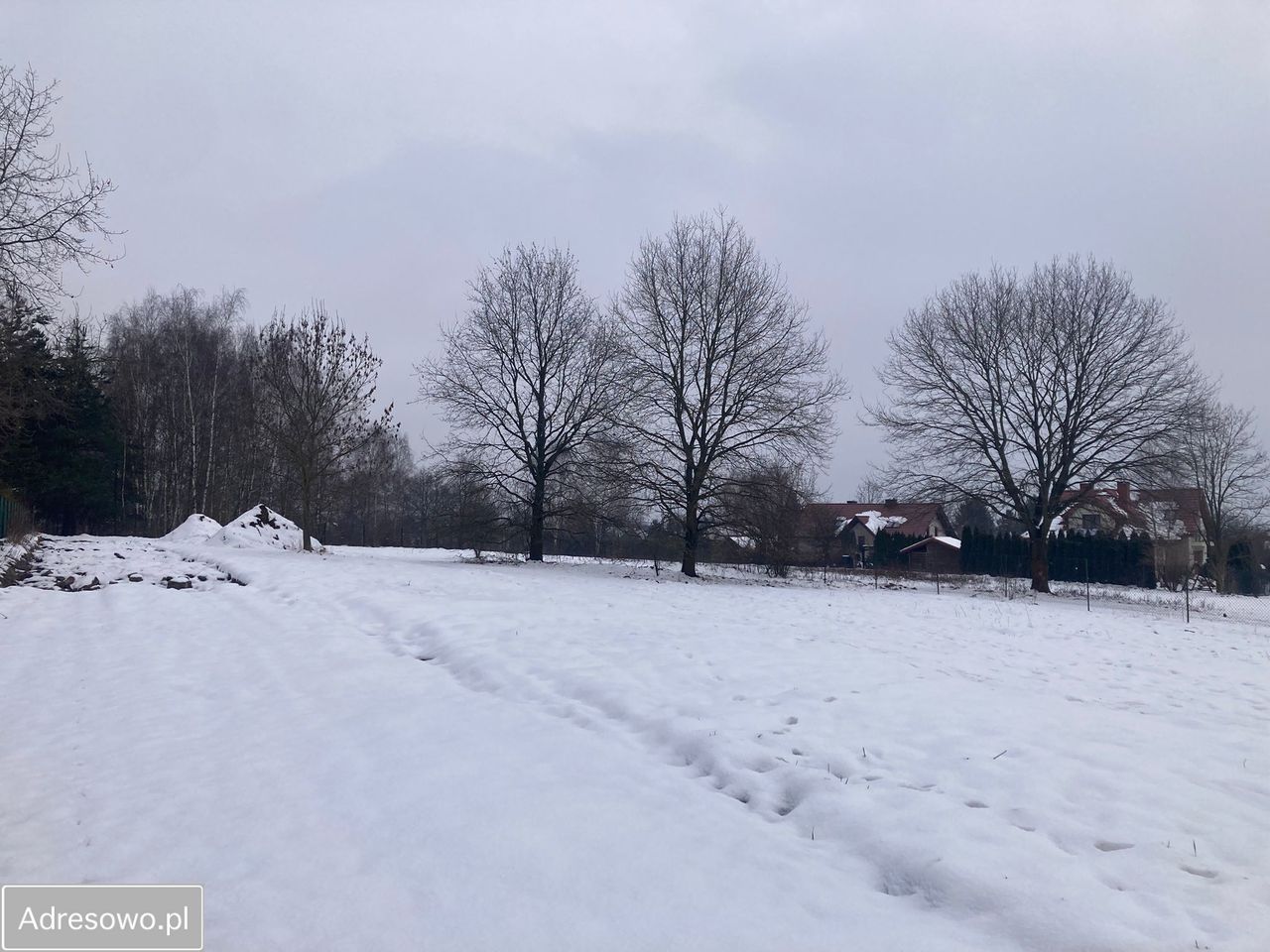 Działka inwestycyjna Wołowice. Zdjęcie 4