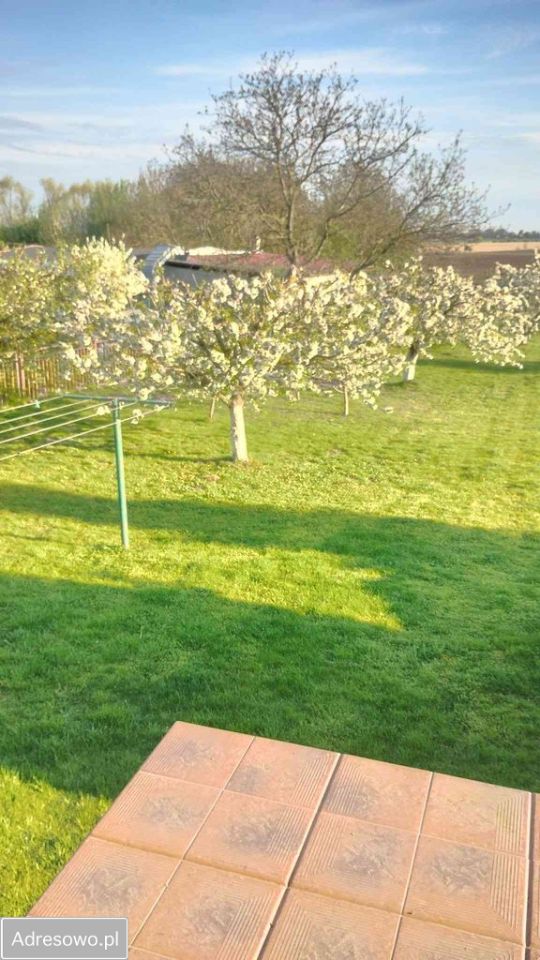 dom wolnostojący, 5 pokoi Jacewo. Zdjęcie 7