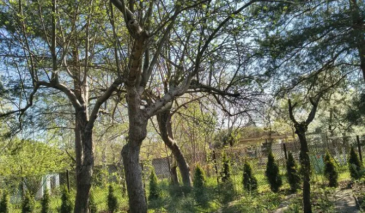 Działka rod Katowice, ul. Feliksa Bocheńskiego