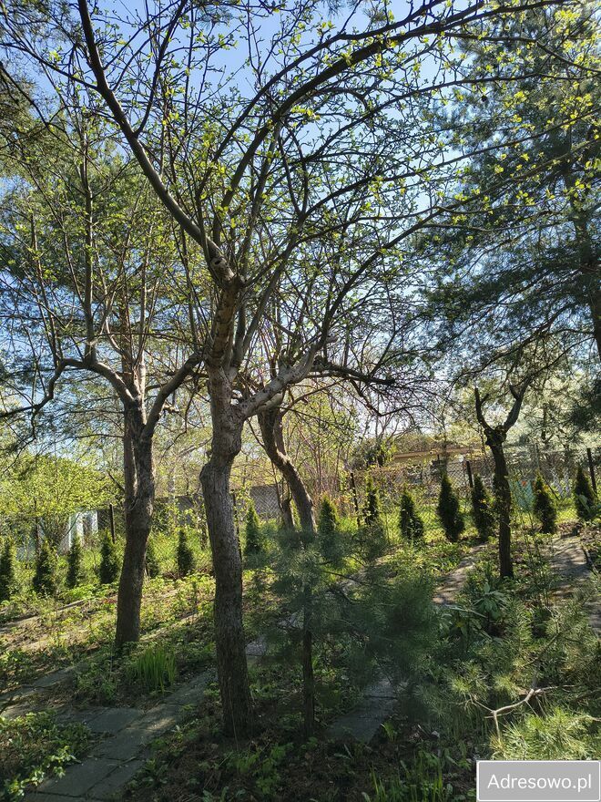 Działka rod Katowice, ul. Feliksa Bocheńskiego. Zdjęcie 1