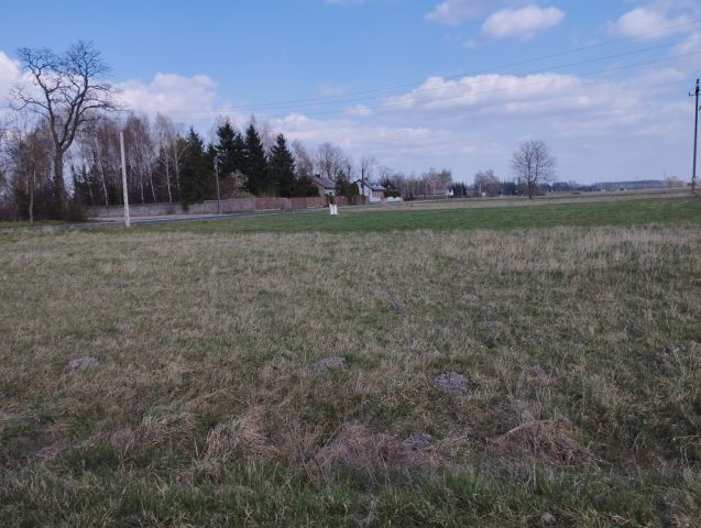 Działka budowlana Karolina. Zdjęcie 4