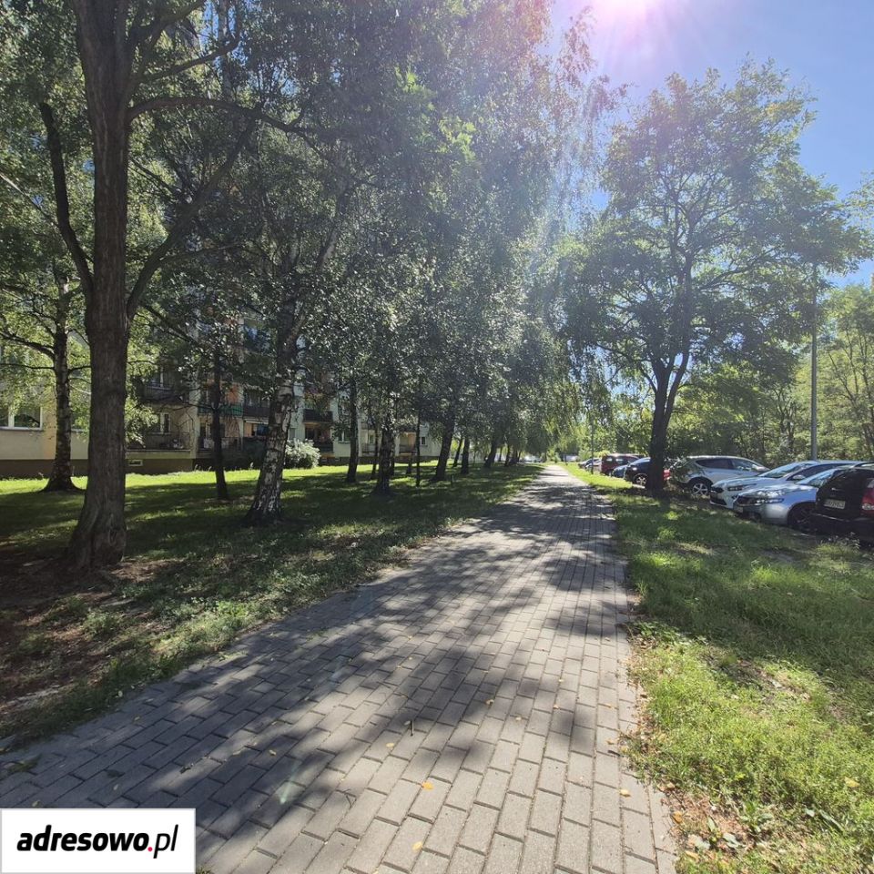 Mieszkanie 2-pokojowe Katowice Dąbrówka Mała, ul. Wiertnicza. Zdjęcie 12