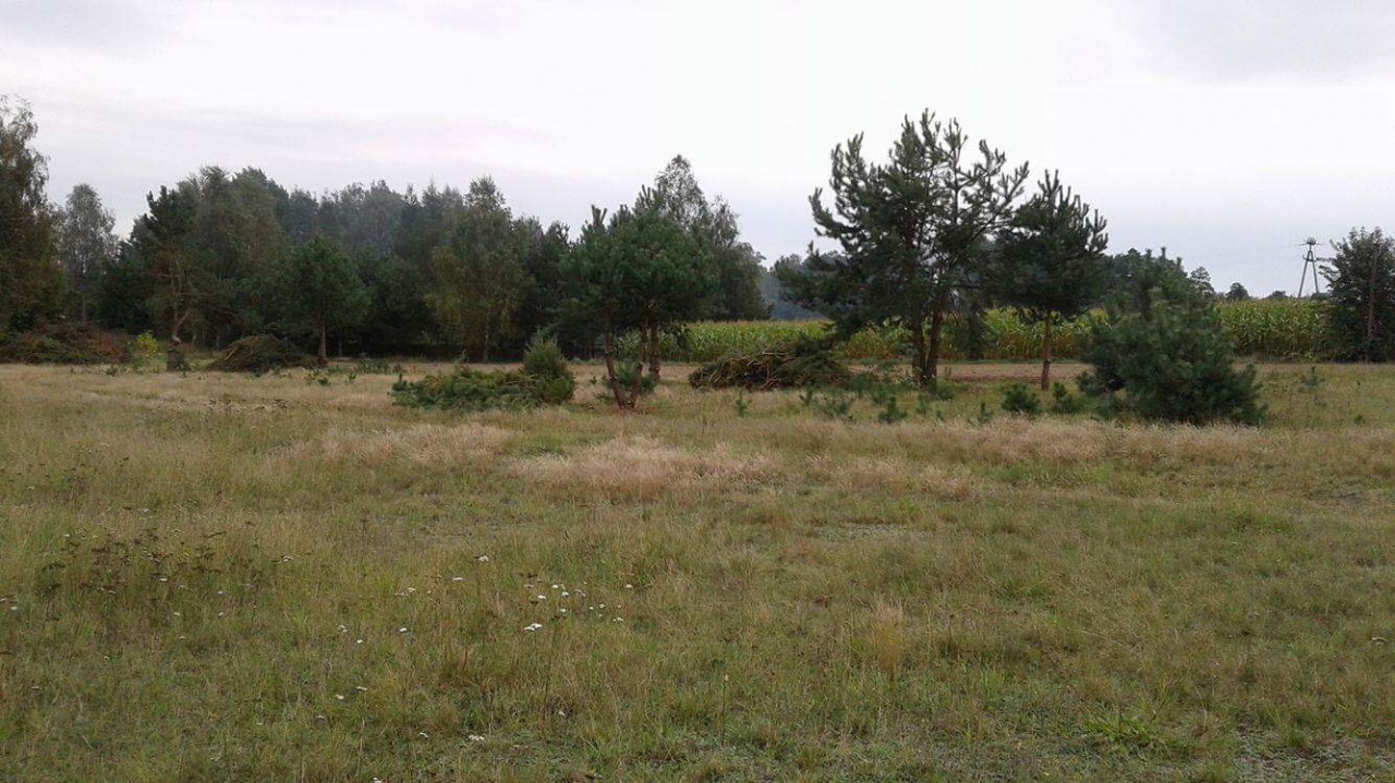 Działka budowlana Nowodzielnik. Zdjęcie 4