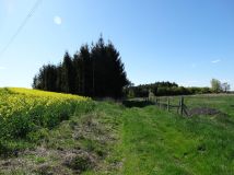 Działka rolna Parsów. Zdjęcie 4