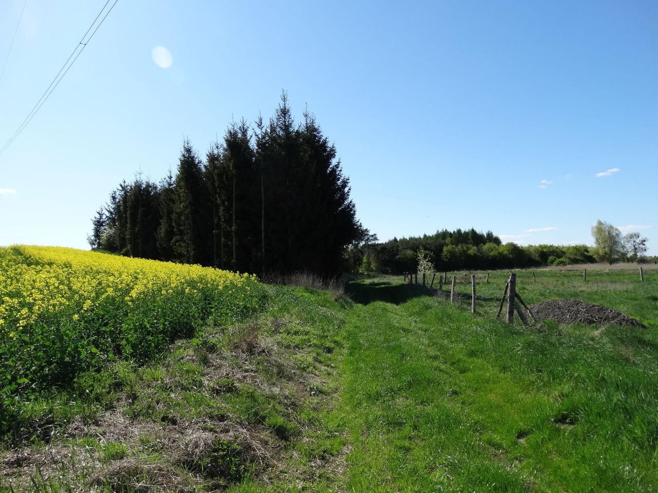 Działka rolna Parsów. Zdjęcie 5