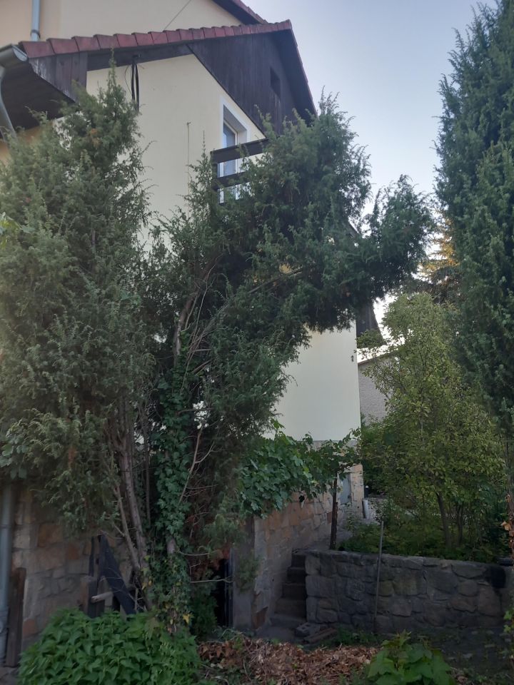 dom wolnostojący, 5 pokoi Gryfów Śląski. Zdjęcie 24