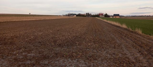 Działka budowlana Jabłonna Pierwsza. Zdjęcie 1
