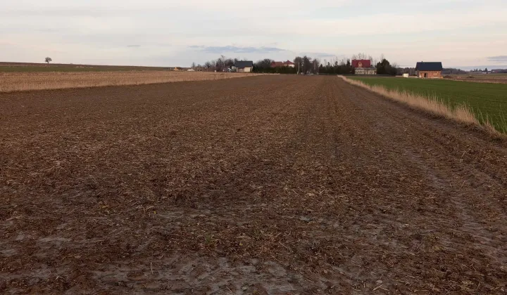 Działka budowlana Jabłonna Pierwsza