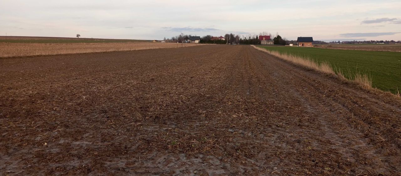 Działka budowlana Jabłonna Pierwsza
