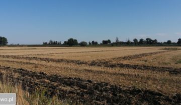 Działka budowlana Bratowice, ul. Polna