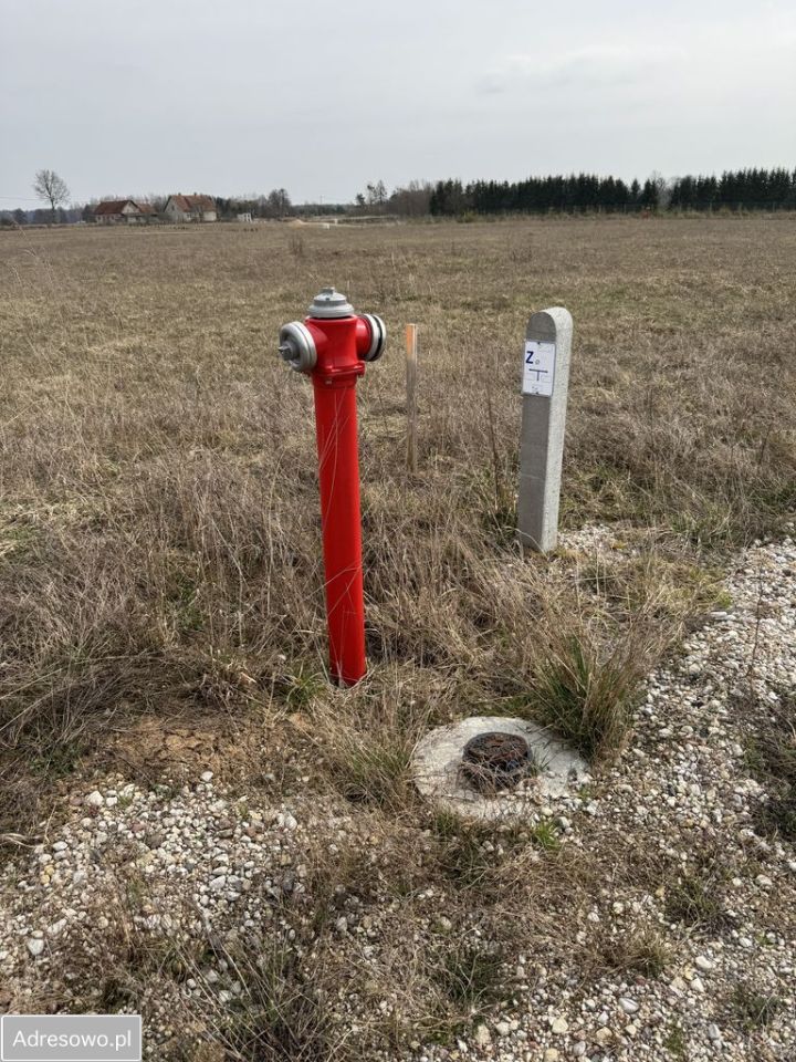 Działka rekreacyjna Borki. Zdjęcie 4