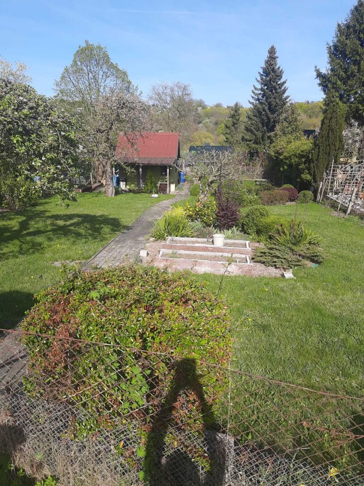Działka rod Szczecin Golęcino, ul. Bogumińska. Zdjęcie 3