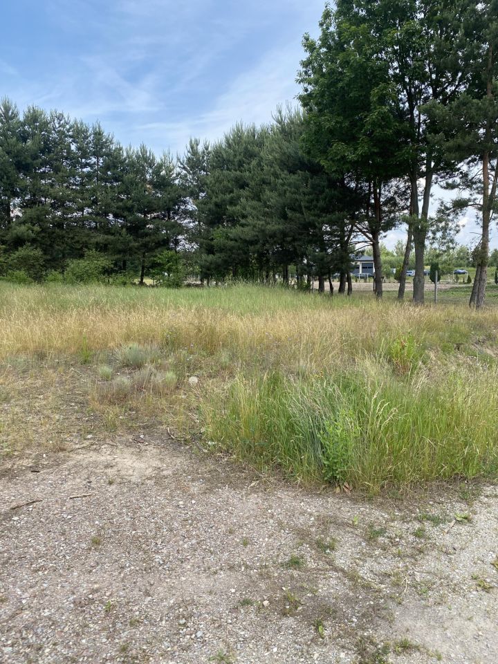 Działka budowlana Zameczek-Kolonia. Zdjęcie 2