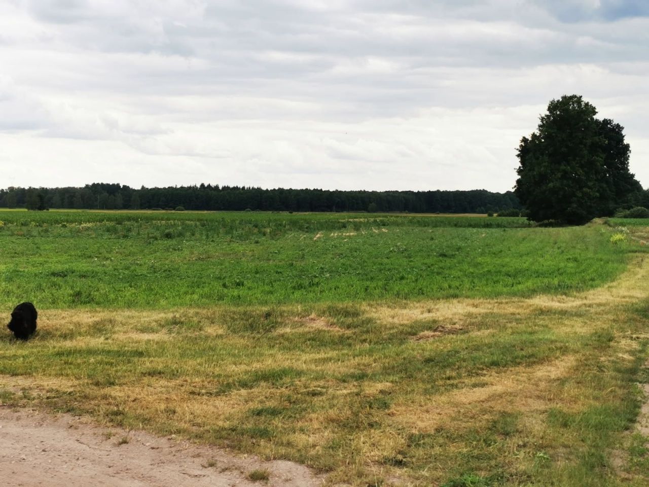 Działka budowlana Tarkowo Dolne