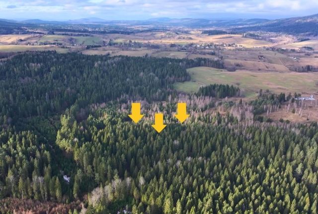 Działka rolna Czarna. Zdjęcie 1