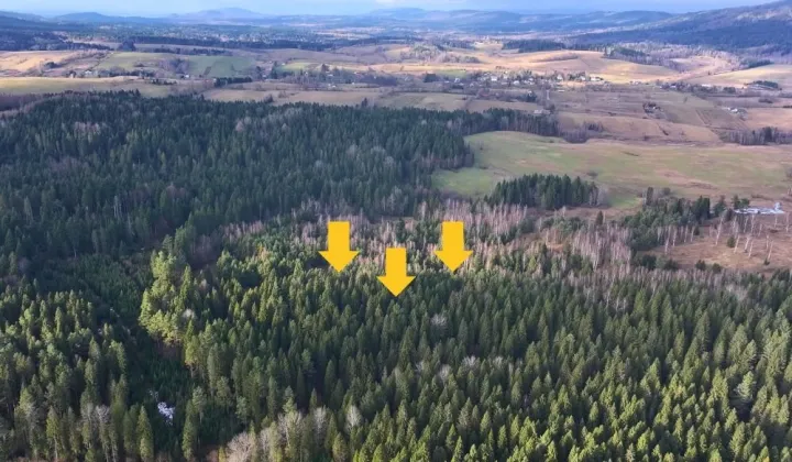 Działka rolna Czarna