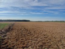 Działka rolna Zalesie. Zdjęcie 3