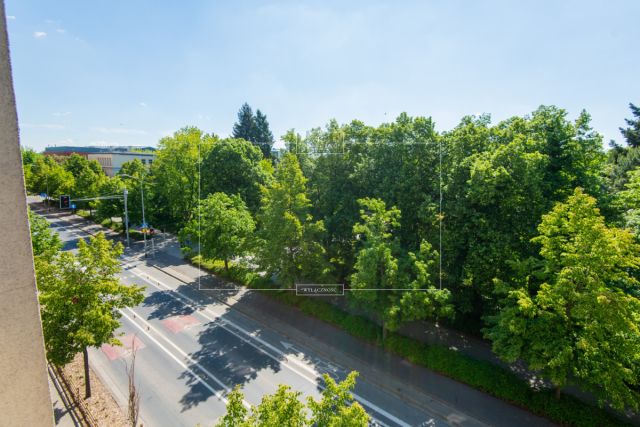 Mieszkanie 2-pokojowe Poznań Centrum, ul. Kazimierza Wielkiego. Zdjęcie 16
