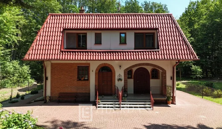 Lokal Tereszyn