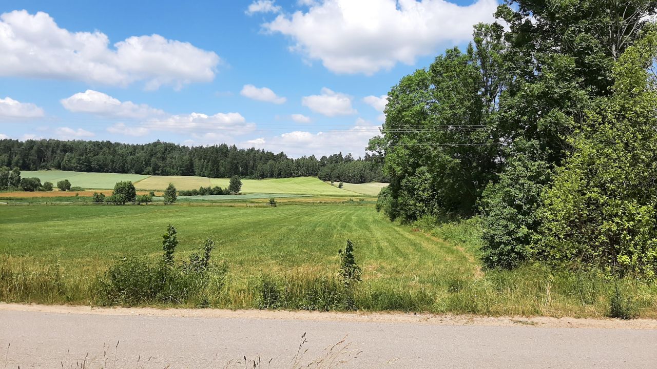 Działka rolno-budowlana Planteczka. Zdjęcie 3